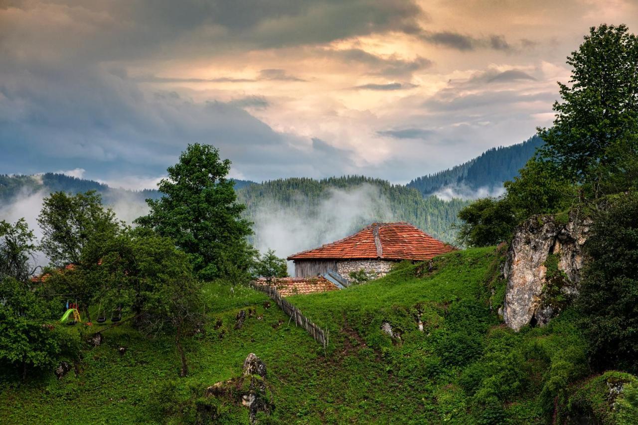 Guest House Panorama Gela Dış mekan fotoğraf