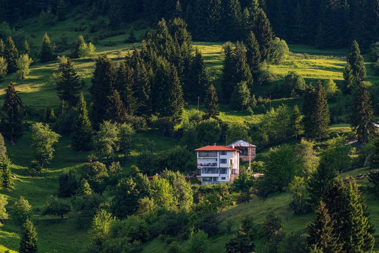 Guest House Panorama Gela Dış mekan fotoğraf