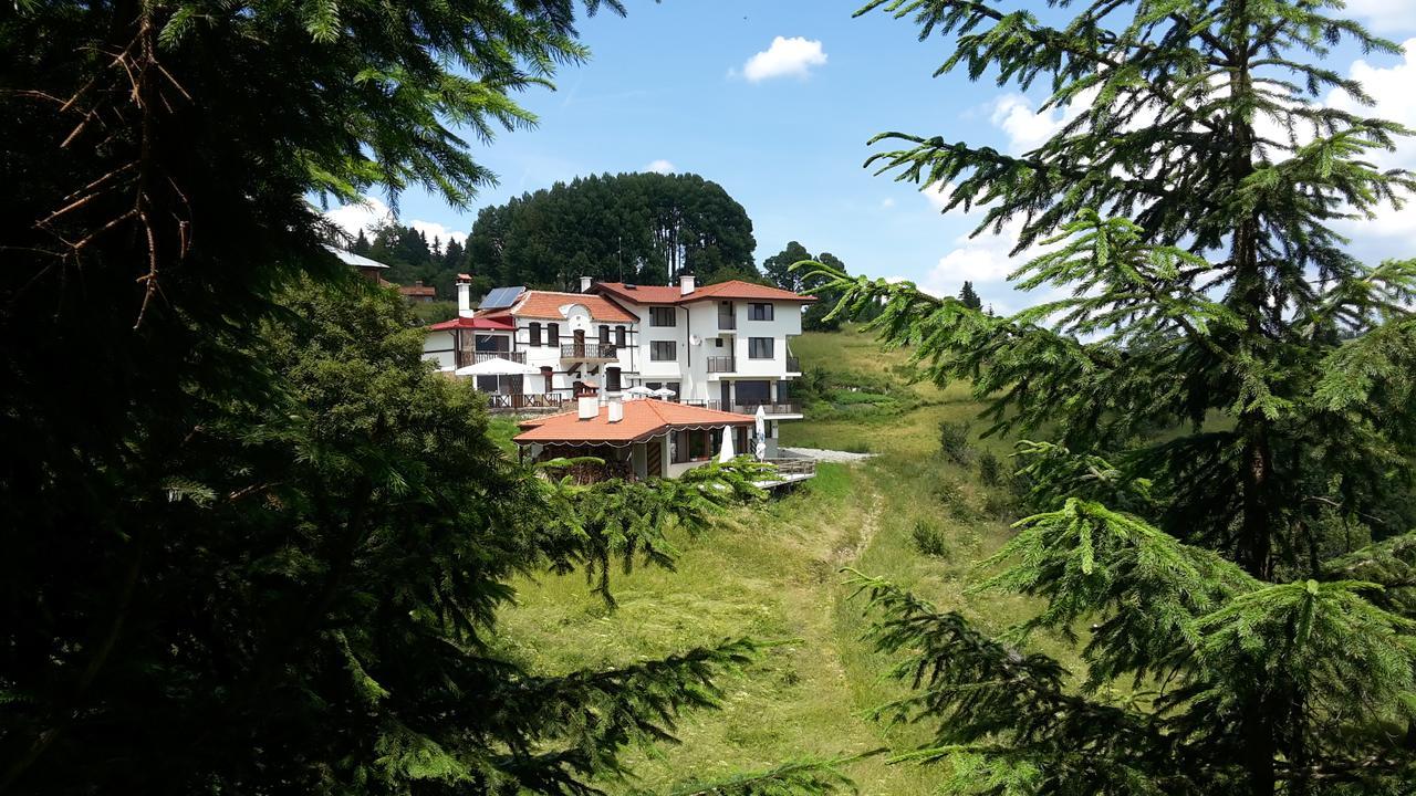 Guest House Panorama Gela Dış mekan fotoğraf