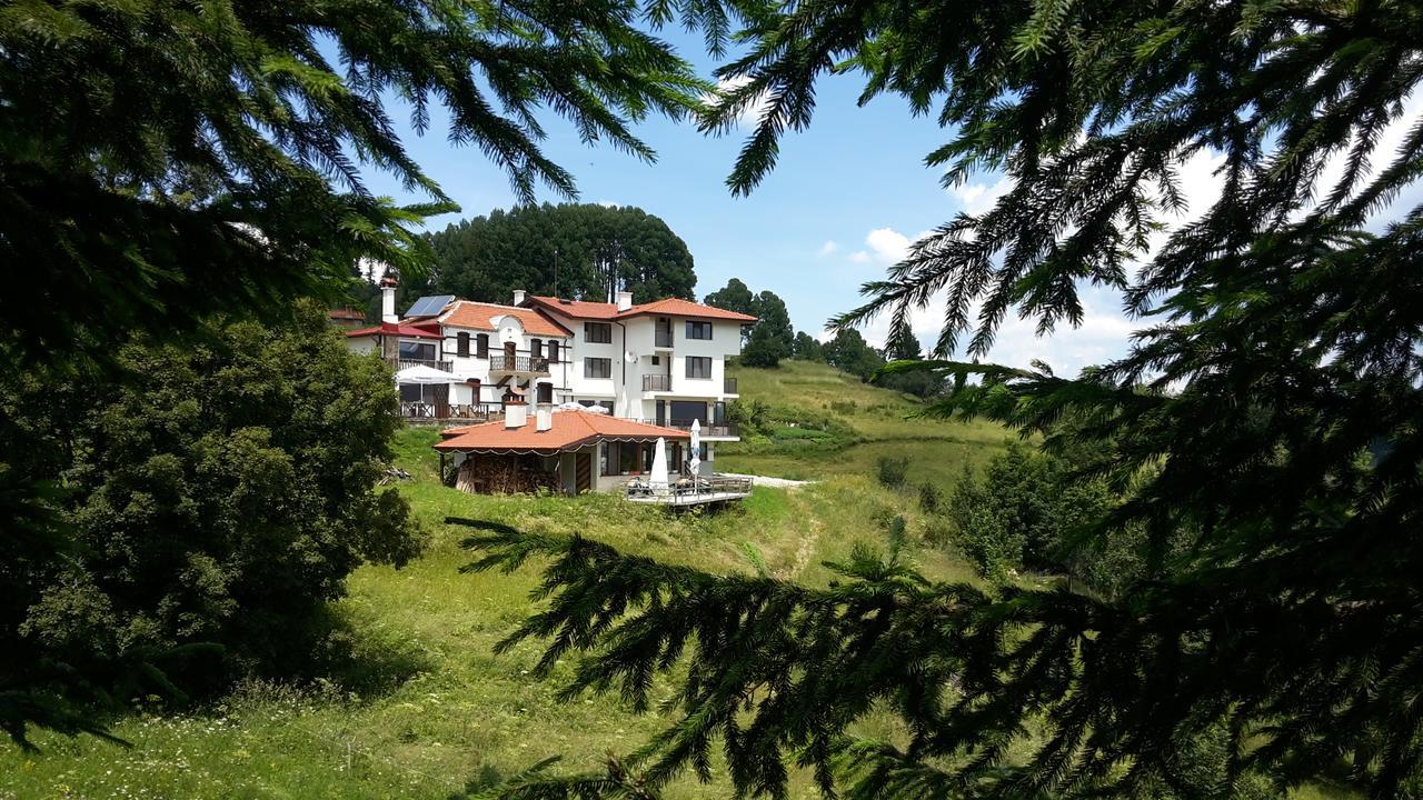 Guest House Panorama Gela Dış mekan fotoğraf