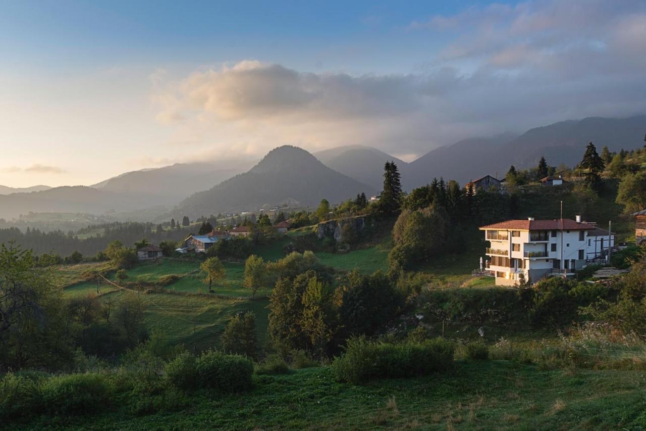 Guest House Panorama Gela Dış mekan fotoğraf