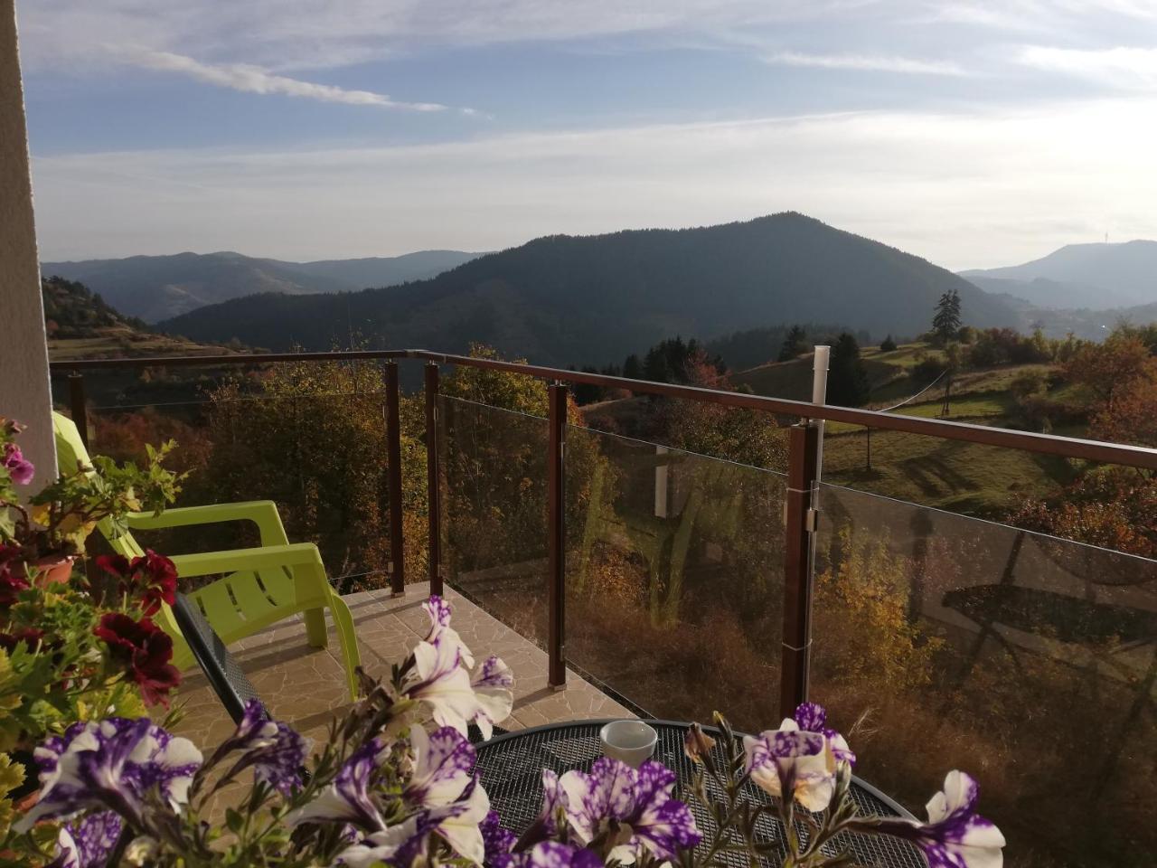 Guest House Panorama Gela Dış mekan fotoğraf