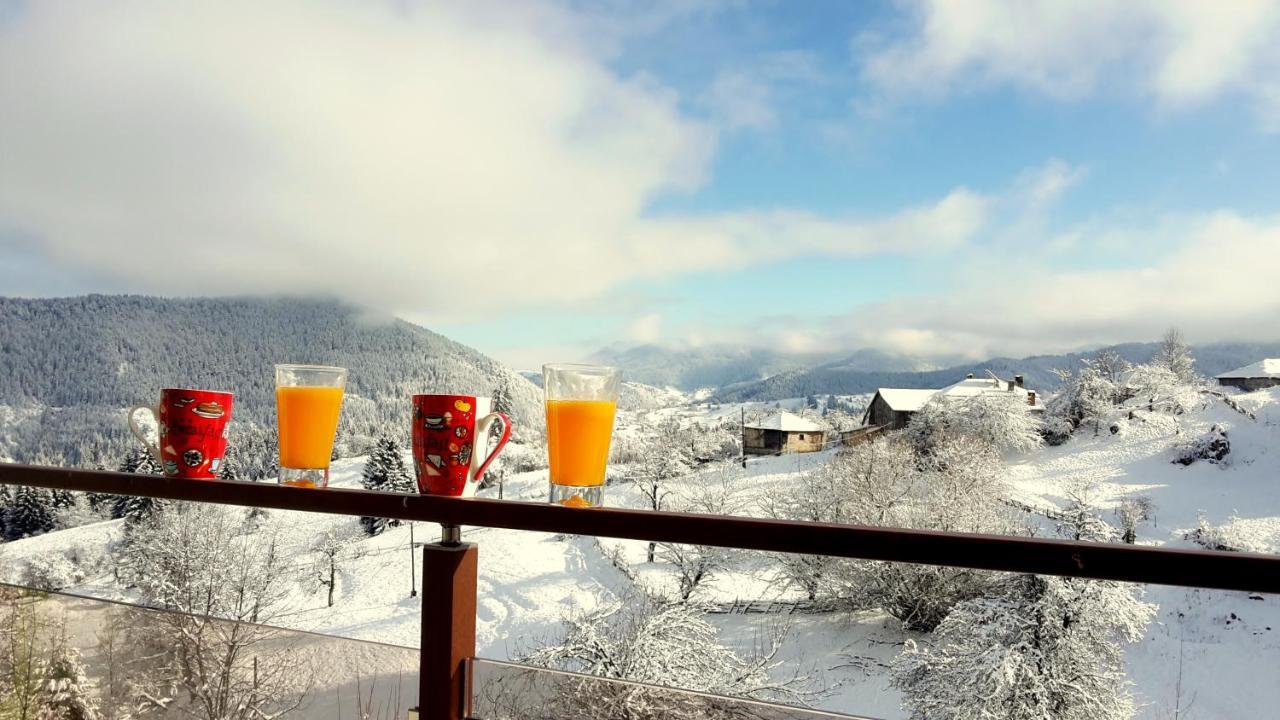 Guest House Panorama Gela Dış mekan fotoğraf