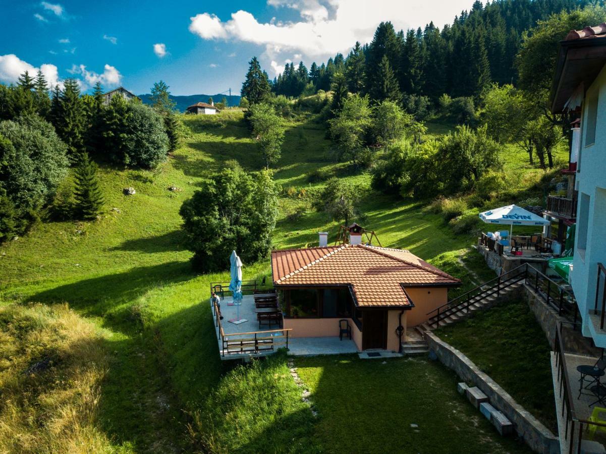 Guest House Panorama Gela Dış mekan fotoğraf